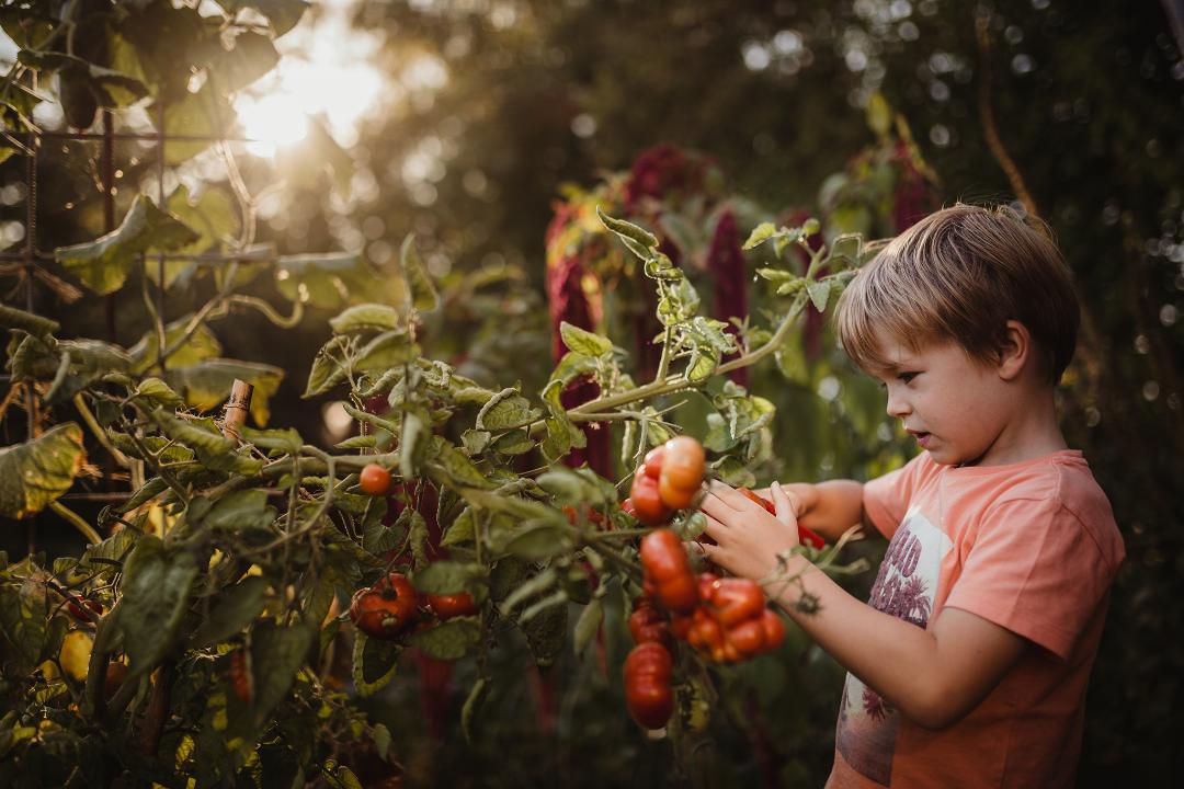 chocolat-chaud-lifestyle-photographes-enfant photographie